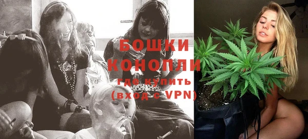 амф Долгопрудный