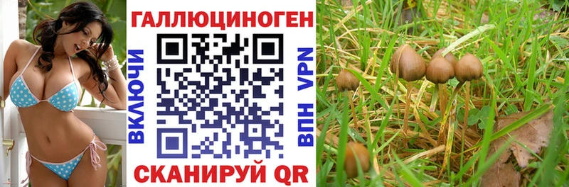 Псилоцибиновые грибы Psilocybine cubensis  что такое наркотик  Далматово 